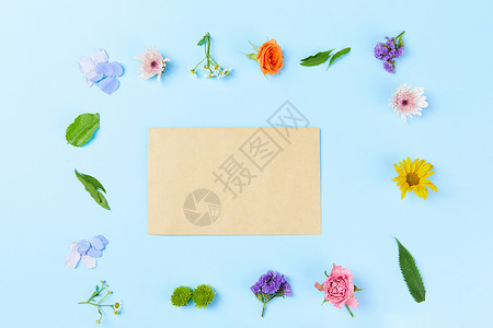 色彩静物花朵信封背景图片