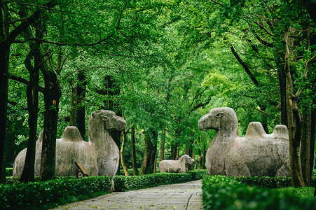 南京明孝陵石像路旅游景区高清图片素材
