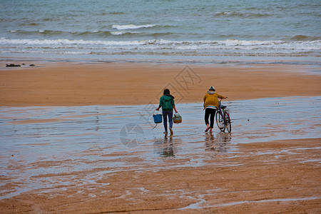 赶海拾贝海边沙滩上赶海的妇女背景