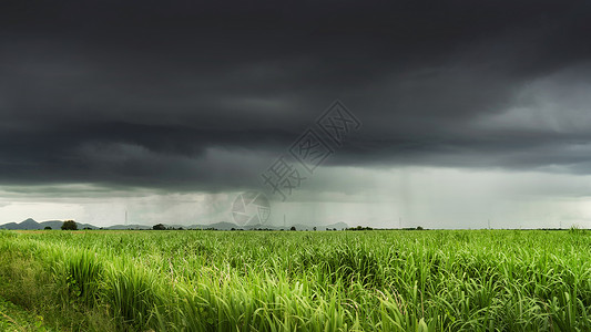 热带风暴泰国热带暴风雨下的农业农田背景