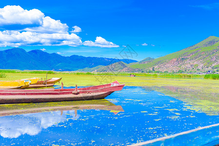 山猪泸沽湖背景