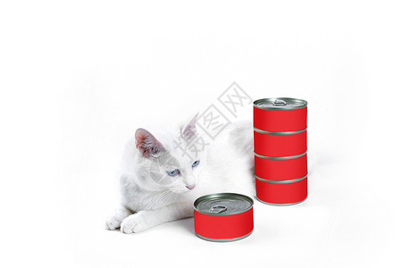 猫吃罐头宠物用品猫罐头背景