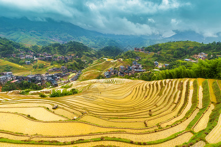 龙胜温泉广西桂林龙胜梯田背景