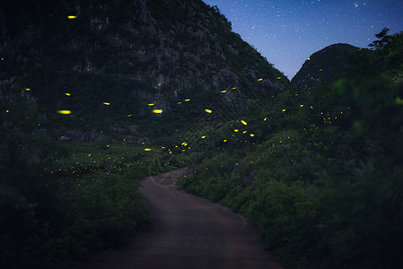 萤火虫星空农村的夜晚高清图片