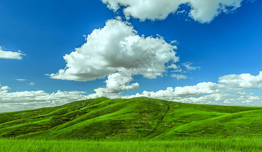 小井夏季内蒙古大草原景观背景