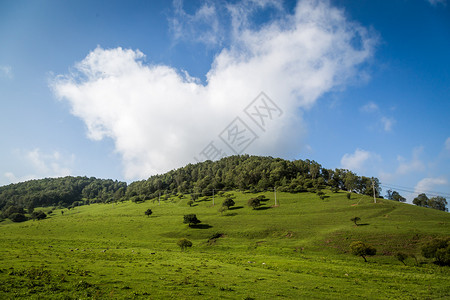 陕西关山草原背景图片