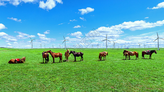 发电机内蒙古大草原夏季景观背景