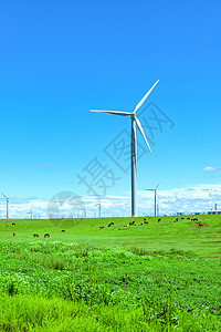 马云素材大图内蒙古大草原夏季景观背景