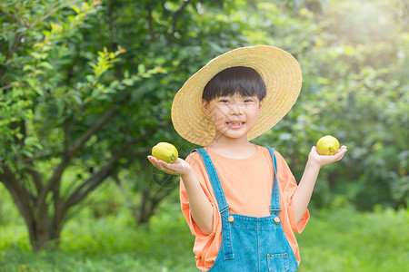 小男孩在户外手拿梨高清图片