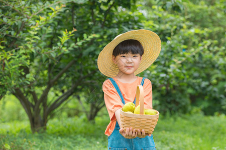 戴帽子的小男孩小朋友在户外手捧一篮水果背景