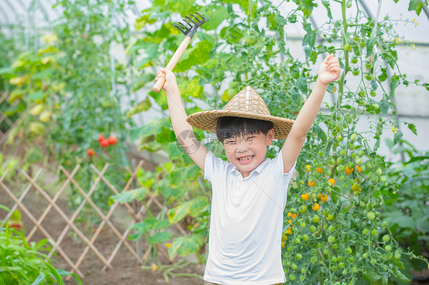 小男孩拿着耙子站在果树前面图片