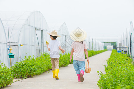 插画戴帽子男孩男孩和女孩在农村田间小路玩耍背影背景