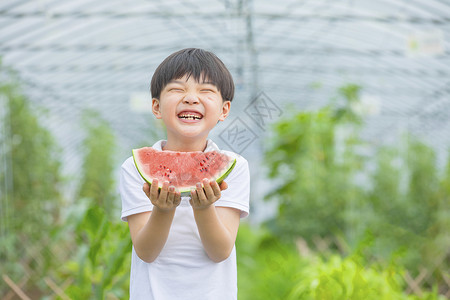 戴帽子的小男孩男孩在农场开心吃西瓜背景