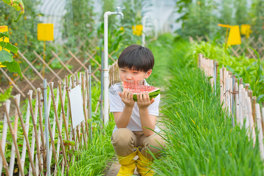 男孩和女孩在农场吃西瓜图片