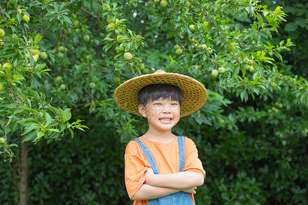 小男孩在果园抱胸大笑高清图片