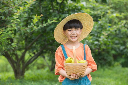 戴草帽的小男孩捧着一筐梨站在树下高清图片