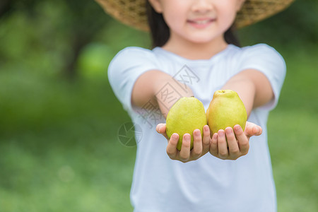 小女孩手捧梨特写图片