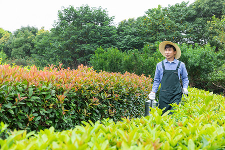 农场园丁工人修剪植物图片