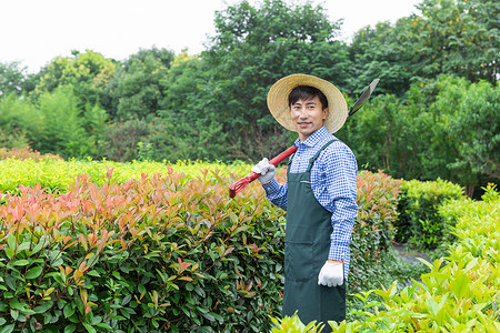 农场园丁修剪园艺植物图片