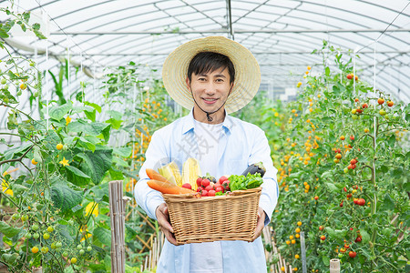 农民蔬菜大棚采摘蔬菜亚洲人高清图片素材