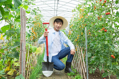 耕地男孩蔬菜种植大棚里农夫耕地背景