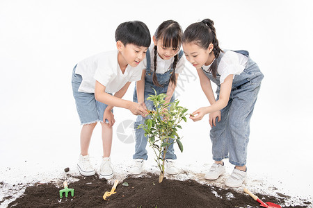 在植树男孩儿童一起植树背景