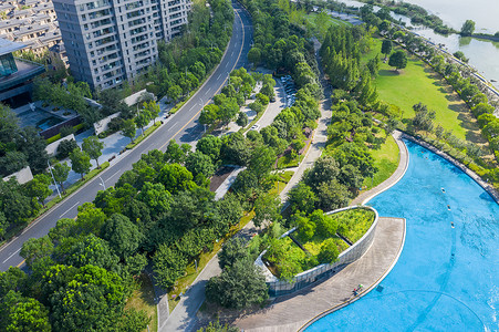 小区植物高端小区的户外泳池背景