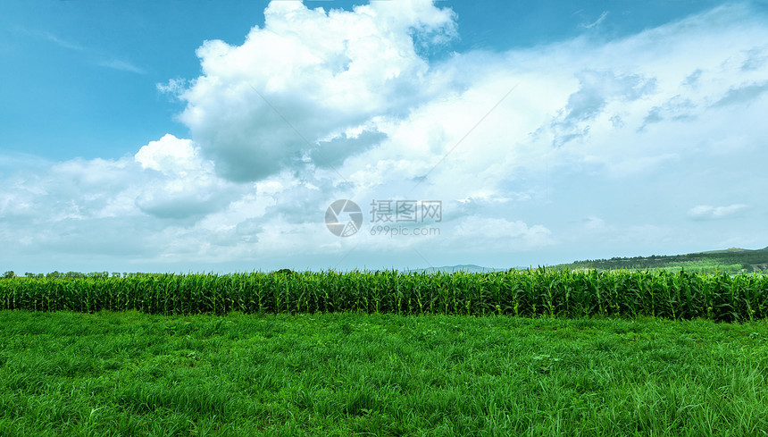 内蒙古凉城县田园种植物景观图片