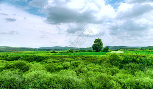 内蒙古四子王旗草原夏季景观背景图片