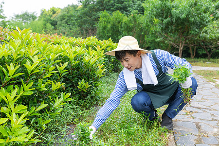 除草农夫修剪农家院杂草背景