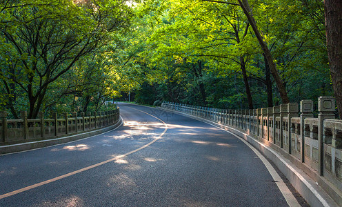 绿化山城市山林中的道路背景