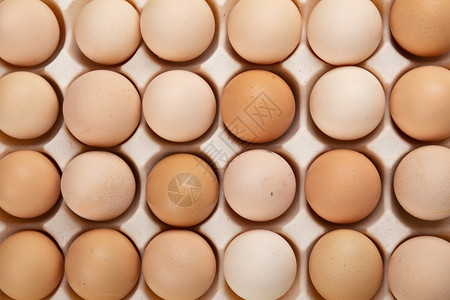 俯拍摆放整齐的新鲜鸡蛋背景图片