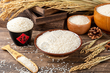 世界粮食日图片下载复古布景拍摄大米背景