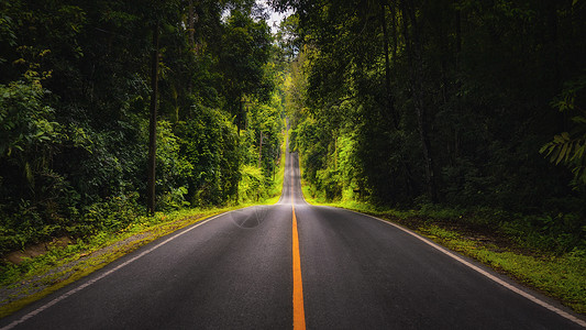 多方向森林道路公路背景