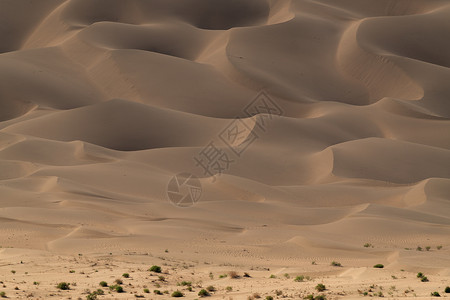 沙漠细节纹理高清图片