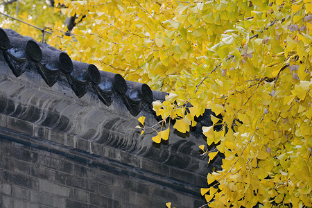 北京西山大觉寺秋色高清图片