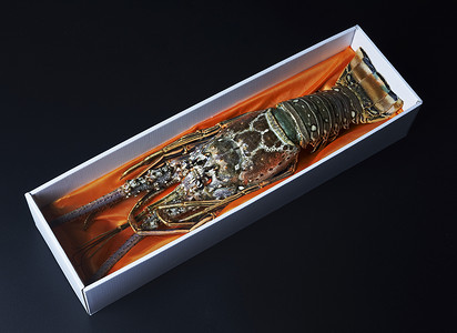 海鲜水产食物大虾龙虾背景图片