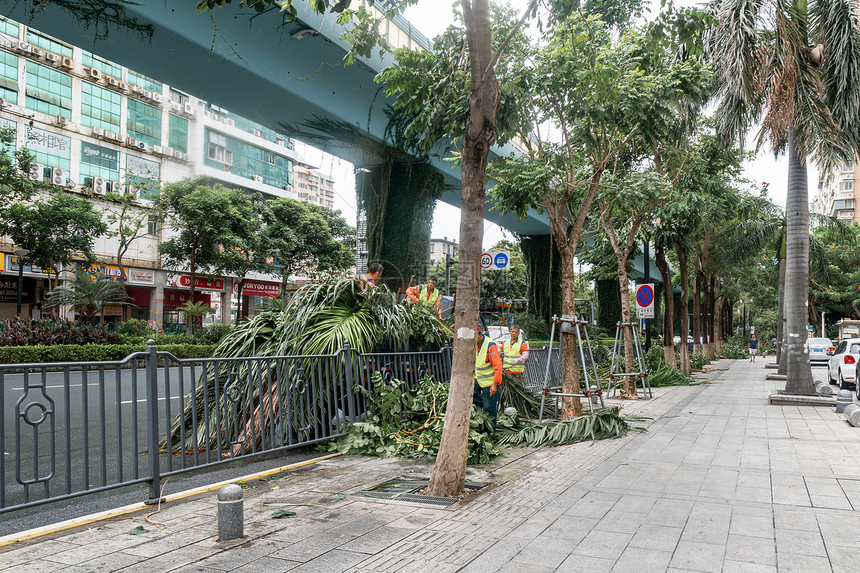 台风过后的街道图片