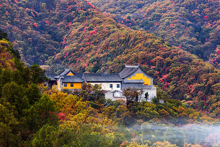 照金香山秋景背景图片