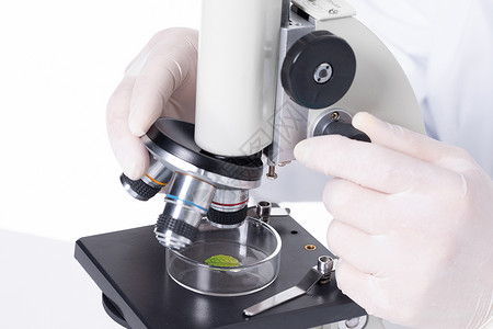 科研人员使用显微镜科学研究培育高清图片素材