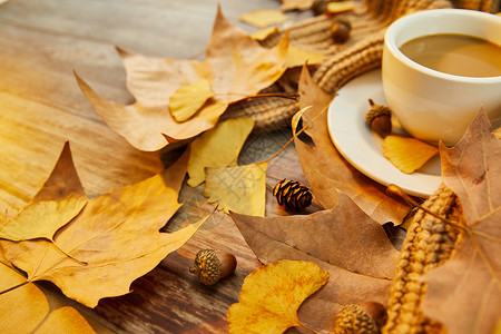 秋季暖冬咖啡背景背景图片