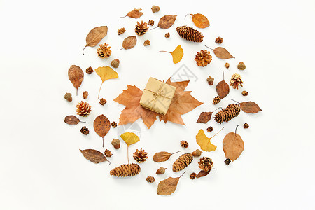 秋日落叶和礼物盒背景图片