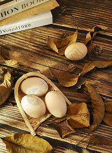 秋天冬日落叶里的鸡蛋背景图片