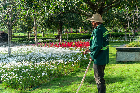 绿化养护夏天公园里给花草树木浇水的园林工人背景