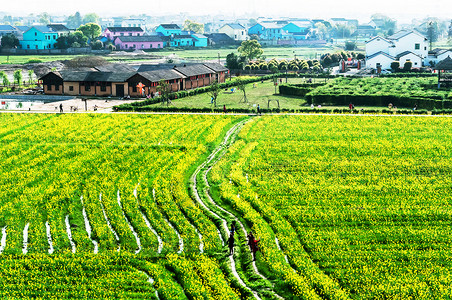 东方文化园宁乡双江口稻花香里农耕文化园背景