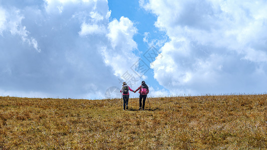 内蒙古草原秋季户外旅游背影人像背景图片
