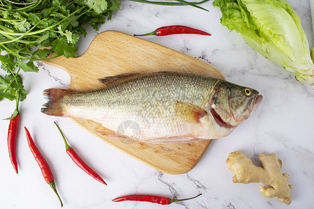 新鲜的红烧鲈鱼肉类高清图片素材