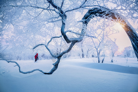 红色雪景吉林亚龙湾群景区冬天雾凇树挂风景背景