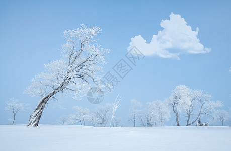 吉林亚龙湾群景区冬天雾凇树挂风景雪地高清图片素材