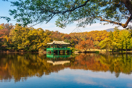 南京紫金山鸢尾湖秋色5A景点高清图片素材